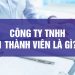 Công ty TNHH phải tuân thủ pháp luật khi phát hành cổ phiếu