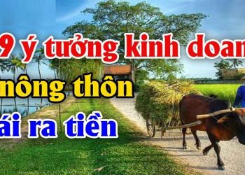Cơ hội nào cho các startup khởi nghiệp ở nông thôn?