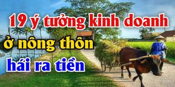 Cơ hội nào cho các startup khởi nghiệp ở nông thôn?