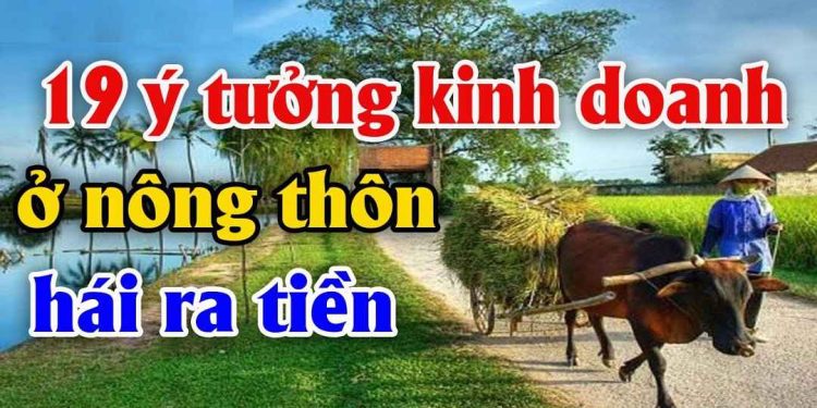Cơ hội nào cho các startup khởi nghiệp ở nông thôn?