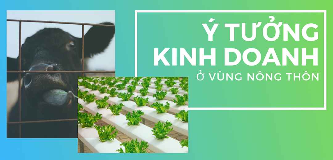 Gợi ý 7 ý tưởng làm giàu ở nông thôn lợi nhuận cao