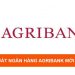 Cách Tính Lãi Suất Vay Ngân Hàng Agribank